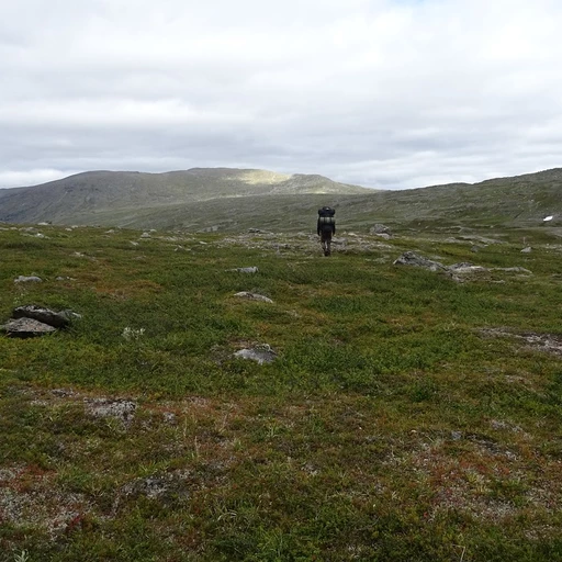 Upptäck fördelarna med Apollo Energituggummi för din Fjällvandring